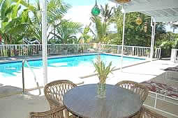 pool + table