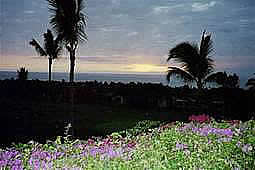 image003